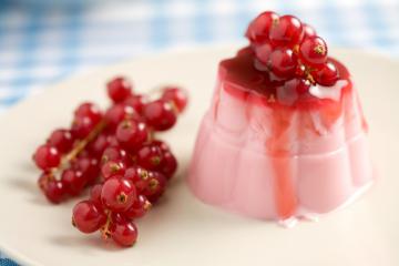 Bavarese ai frutti di bosco