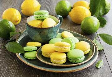 Macarons agli agrumi