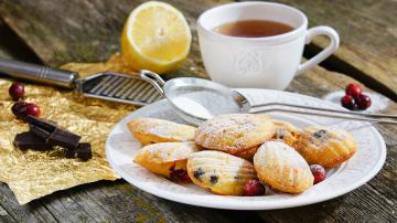 Madeleine con mirtilli rossi e cioccolato