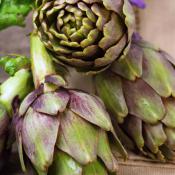 Carciofi in gelatina