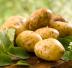 Patate in umido