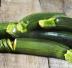 Pasticcio di zucchine