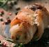 Involtini di pancetta