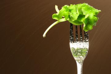 Ricetta Insalata verde