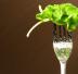 Ricetta Insalata verde