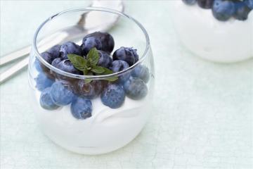 Semifreddo allo yogurt