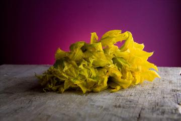 Pasta con fiori di zucca