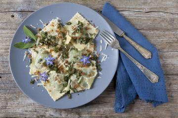 Ravioli ripieni di ricotta e borragine