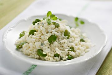 Risotto con le fave