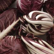 Lasagne al radicchio
