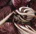 Lasagne al radicchio