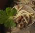 Pasta con le lenticchie