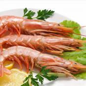 Risotto alla crema di scampi