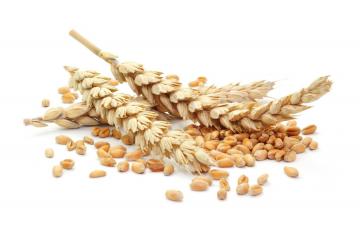 Insalata di orzo
