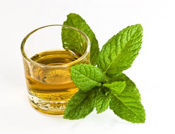Liquore alla menta