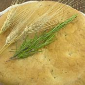 Focaccia morbida