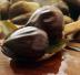 Castagne lesse