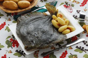 Rombo al forno