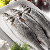 Branzino alla mediterranea