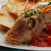 Gallinella al pomodoro