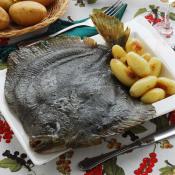 Rombo al forno